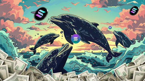 olana Whales are Pouring Big Money into This Meme Coin, Major Price Rally Ahead