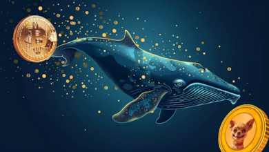 Bitcoin (BTC) Whales Are Rotating Capital: Here Are Their 3 Favorite Altcoins in April 2024