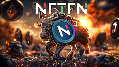 2024 Bull Run Top Crypto: Why NFTFN Is a Better Investment Than Ton Coin