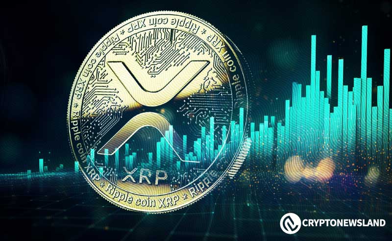 XRP Holds Firm at $0.50: Potential Reversal Ahead?