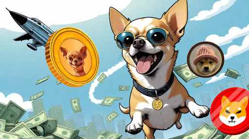 Top 3 Meme Coins to Become a Crypto Millionaire Within 5 Months: Hump Token (HUMP), Dogwifhat (WIF), and Shiba Inu (SHIB)