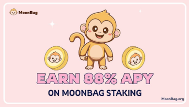 Top Crytpo Presale, Can MoonBag Dethrone Dogeverse and Binance as $MBAG Staking Takes Flight?