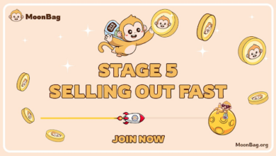 MoonBag’s Live Staking Draws Attention: Why Polkadot and Dogeverse Holders are Switching to the Top Crypto Presale in June 2024