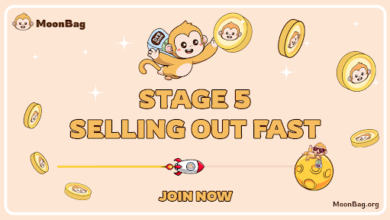 Top crypto presale in June 2024: Staking on MoonBag Proves More Attractive than Dogeverse and Bonk
