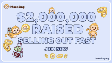 MoonBag Crowned Top Crypto Presale In June 2024 Raising $2 Million, Dogeverse and Polkadot Bear the Brunt