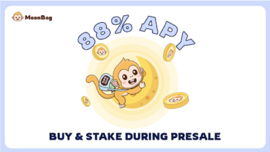 Top Meme Coin Presale in 2024: MoonBag Leaves Dogeverse and Chain GPT Behind with 88% APY