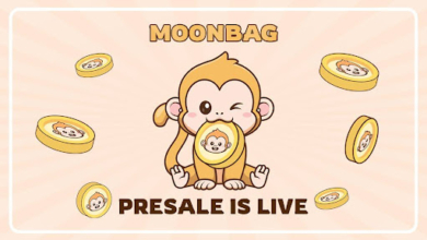 MoonBag Presale Shoots for Stars as Dogecoin Sinks Further