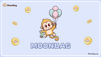 Dive into Crypto Cashbacks with the MoonBag Referral Programme