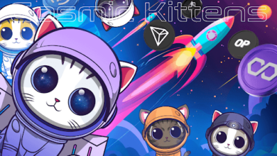 What Makes Cosmic Kittens (CKIT) Stand Out as the Successor to Ethereum (ETH) in the Crypto World?