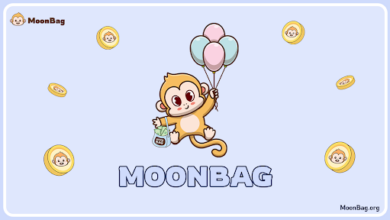 Best Presale in 2024: MoonBag Tops Pepe and Celestia with Unique Zero Tax Trading Benefit