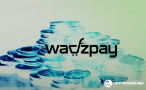 WadzPay Experienced a Potential Security Breach, All Holdings Remain Unaffected as Team Responds Swiftly