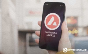 AVAX Sits at an 89% Drop From Its ATH and Traders Watch This Metric
