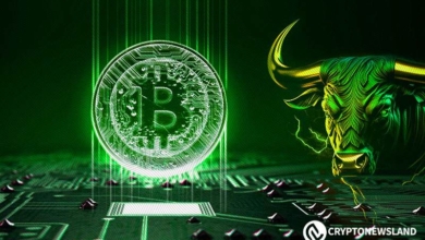 BTC-bull 3