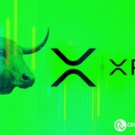 XRP-Bull-3