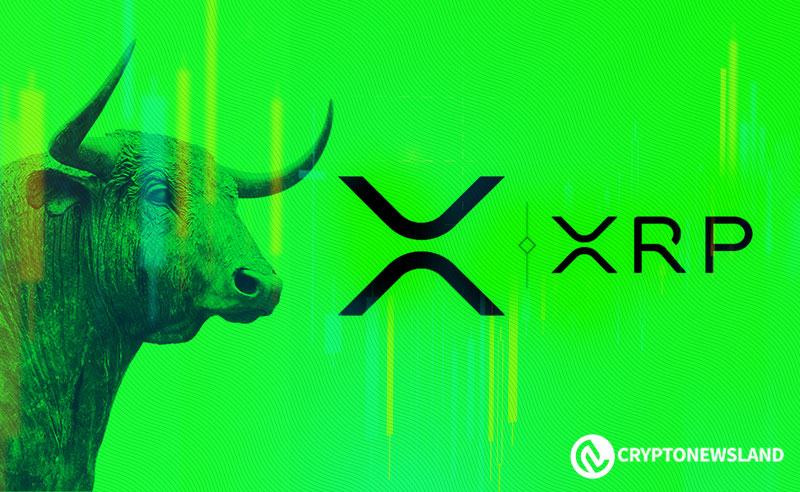 XRP-Bull-3