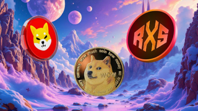 Shiba Inu (SHIB) vs. Dogecoin (DOGE) vs. Rexas Finance (RXS): Only One of These Tokens Will Turn $1,000 into $100,000 in 2025