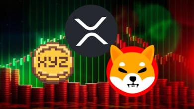 XRP Set for 1,500% Growth in November, SHIB Targets 2,100%, While XYZVerse Leads with a 7,800% Rally!