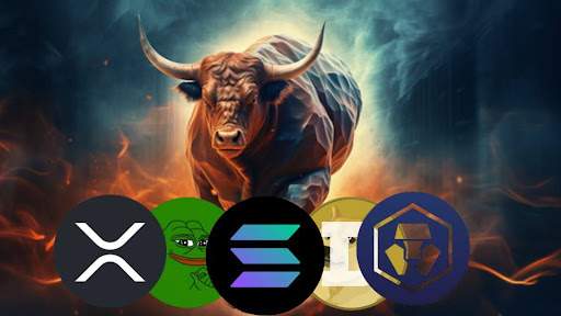 6 Must-Buy Cryptocurrencies for November 2024’s Stylish Bull Run!