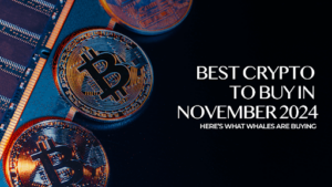 Top Crypto Picks for November 2024: The Best Assets for Day Traders to Buy