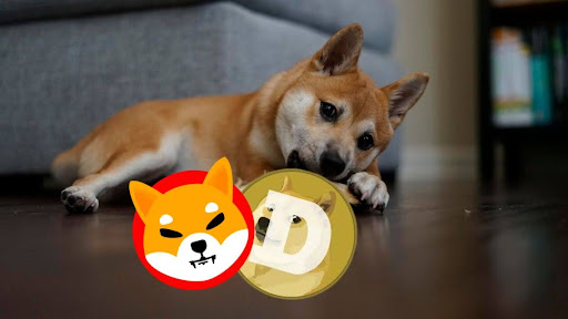 DOGE and SHIB: New Highs in Sight? Experts Suggest XYZVerse as a Stronger Choice