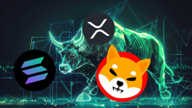 Can SHIB Reach $1, SOL Hit $600, and XRP Touch $10? Here’s Why This Low-Cost XRP Alternative May Deliver 5000% Returns!