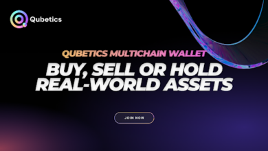 Best-Performing Coin November 2024, Qubetics vs Near Protocol vs Avalanche, Top Crypto Picks 2024, Qubetics Market Performance, Cryptocurrency Comparison Analysis