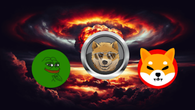 Crypto Expert Names Two Altcoins Set to Skyrocket 500% in the Coming Rally, Gives Updated Forecast for Shiba Inu