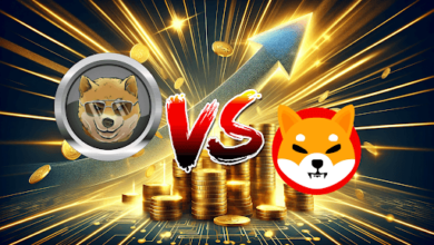 Shiba Inu Faces Competition as This Solana-Based Meme Coin Gears Up for 30,000% Growth!