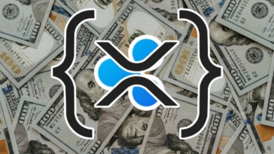 $16 Trillion in Tokenized Assets on XRP Ledger by 2030 Reveals $307.69 an XRP