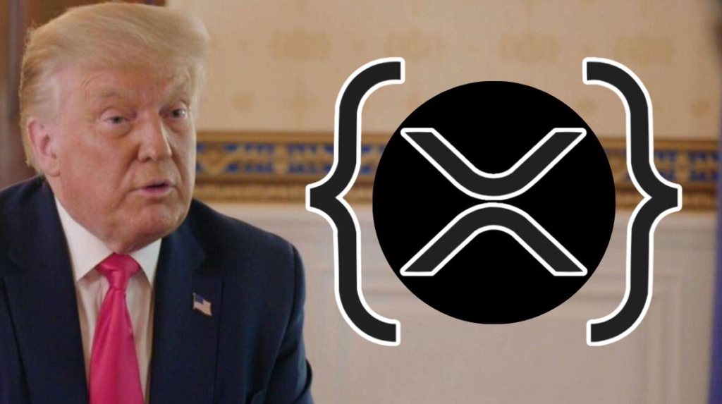 Donald Trump's Public Wallet Reveals XRP Holdings, Hinting at Plans to Integrate XRP into the Federal Reserve System