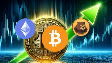 Massive BTC Rally Ahead? Experts Predict It Could Hit $300K With an 800% ROI by 2025!