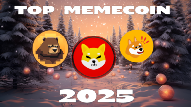 Ready for 10x Gains? SHIB Could Break $1 and Become the Top Memecoin by 2025!