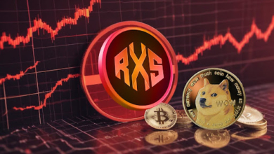 Should You Invest $450 in Dogecoin Today? How Much It Will Be in 1 Year and the Best DOGE Substitute for Bigger Profits