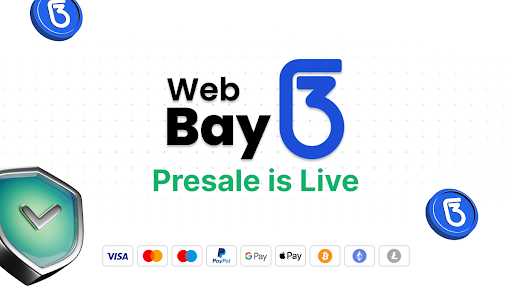 Web3Bay Captures Investor Interest with 100x Gain Potential Amidst MultiversX & Notcoin’s Slower Growth