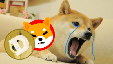 Move Over Dogecoin and Shiba Inu—This $0.000667 Token Is Set to Dominate by 2025!