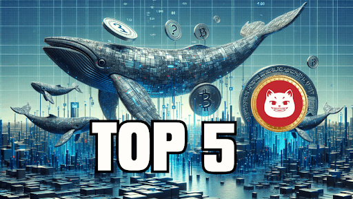 Follow the Whales: Top 5 Cryptos Being Accumulated for Huge Profits Next Year