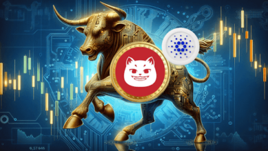 Solana’s New Rising Star: Bullish Signals Suggest This Coin Could Be the Next Big Market Breakout Like Cardano (ADA) Earlier!