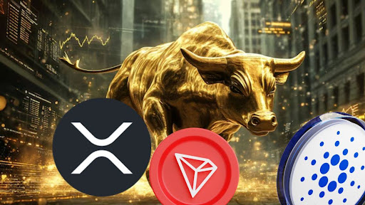 Bullish Energy for XRP, ADA, and TRX Declines—New Market Entrants Could Steal the Altcoin Season Spotlight!