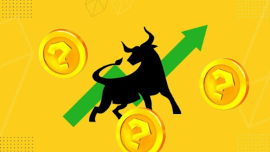 Your Step-by-Step Guide to Riding the 2025 Crypto Bull Market Wave!