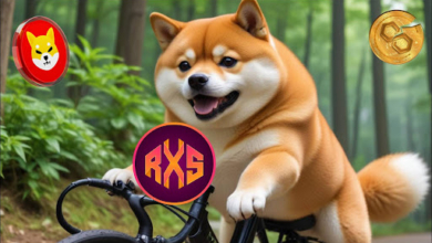 This Cycle's $105 to $1,050,000 Journey Won't Be Made with Shiba Inu and Polygon, Here Are the 2 New Picks