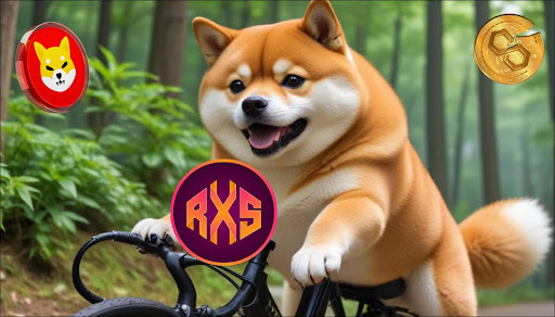 This Cycle's $105 to $1,050,000 Journey Won't Be Made with Shiba Inu and Polygon, Here Are the 2 New Picks