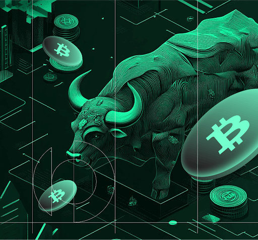 What Is A Crypto Bullrun and How To Make Money Off Tokens Like Bitcoin, Ethereum & XRP