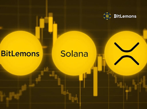 Institutional Investors Eye Solana and XRP, But Retail is Rushing Into BitLemons ($BLEM)