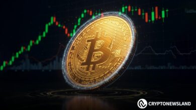 Bitcoin Price Update: VanEck CEO Predicts a Market Bottom