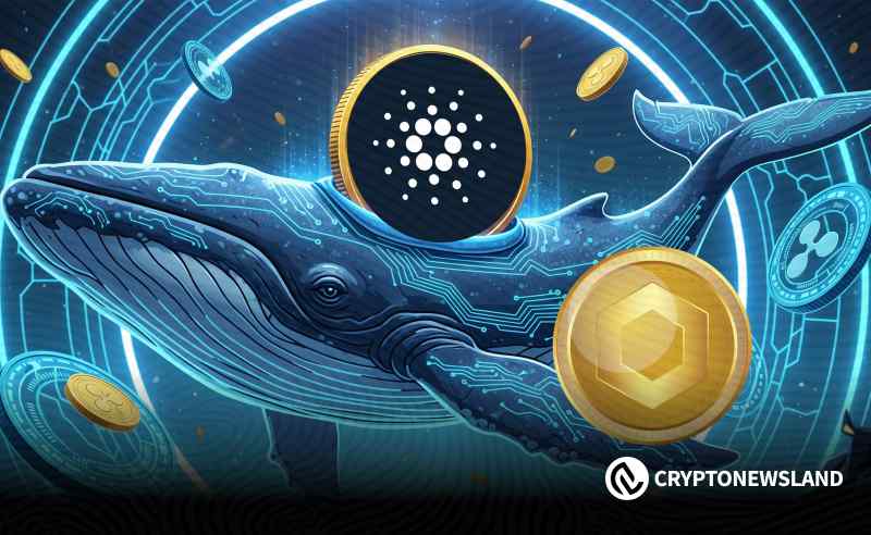 Whales Scoop 100 Million ADA as Chainlink