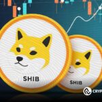 Shiba Inu Could Soar 200% as Burn Rate and Open Interest Spike