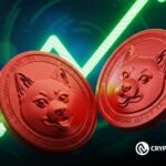 Shiba Inu Risks Major Correction as Burn Rate Hits New Lows