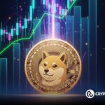 SHIB Market Trends and Price Analysis — What to Expect Next