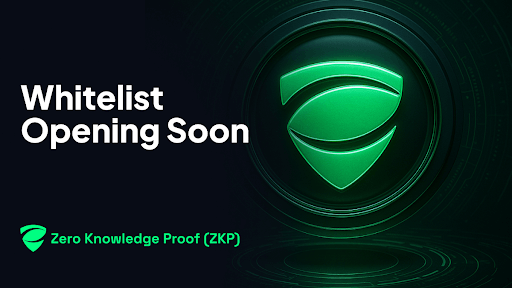 Zero Knowledge Proof (ZKP): The Only Safe Haven in a Leaky Blockchain World