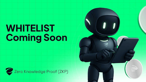 Zero Knowledge Proof (ZKP): From Cryptographic Concept to Blockchain Protocol - Whitelist Coming Soon
